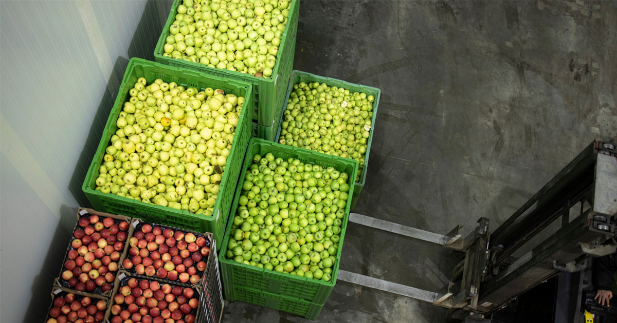 Agri-Food-Operational-Challenges-Warehouse-1200x630-1